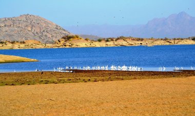 Parshuram Mahadev Temple - Rajasthan