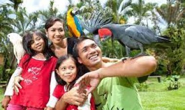 Bali Bird Park - Wanderela