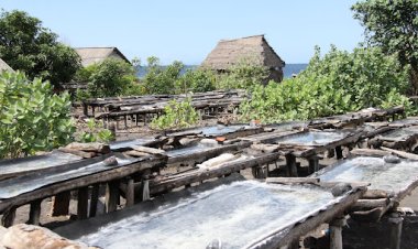 Kusamba Village Salt Farm, Bali - Wanderela