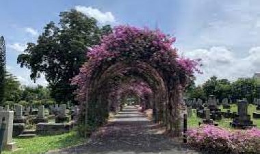 Japanese Cemetery Park, Singapore - Bali
