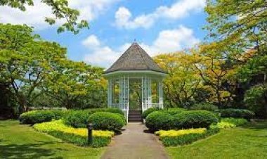 Botanic Gardens, Singapore - Wanderela