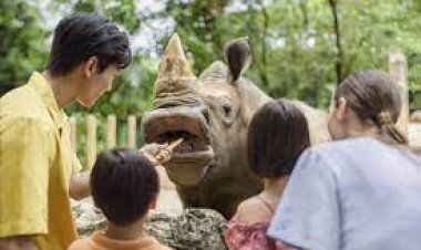 Singapore Zoo - wanderela
