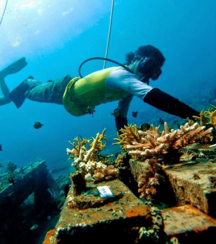 Serengan Island Coral Farm