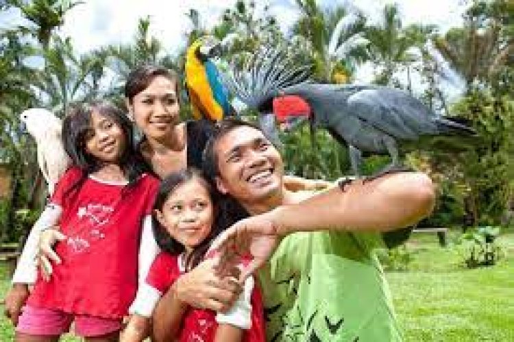 Bali Bird Park - Wanderela