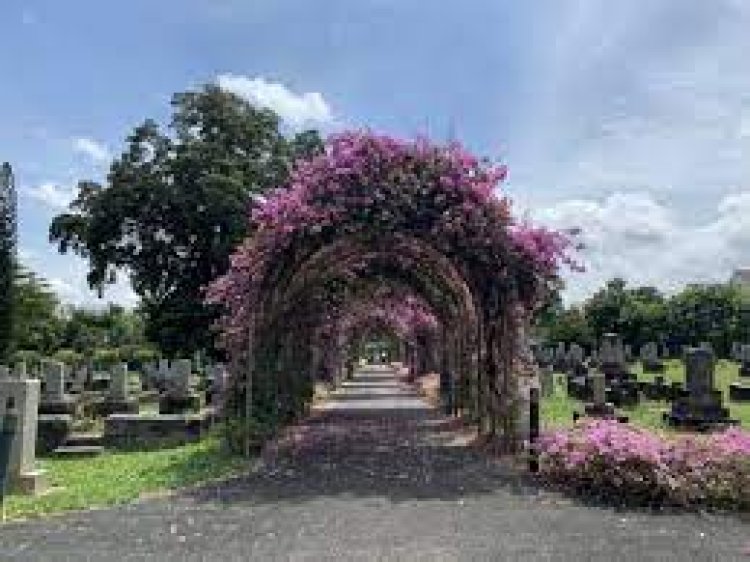 Japanese Cemetery Park, Singapore - Bali