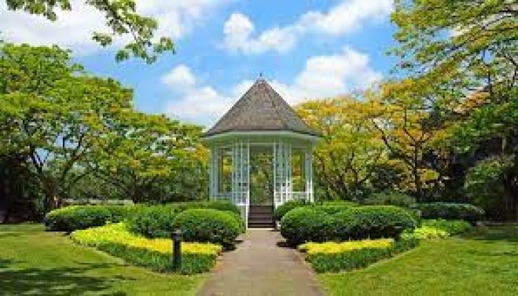 Botanic Gardens, Singapore - Wanderela