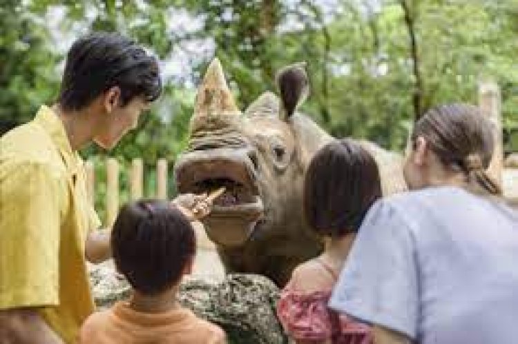 Singapore Zoo - wanderela