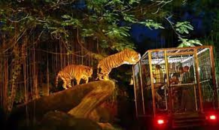 Night Safari, Singapore - Wanderela