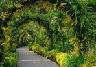 Penang, Malaysia - Wanderela