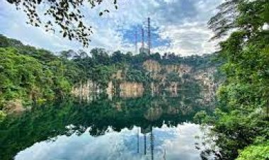 Bukit Timah Nature Reserve, Singapore - Wanderela