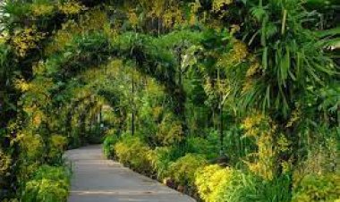 National Orchid Garden, Singapore - Wanderela