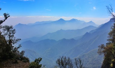 Kodaikanal, Tamil Nadu: Unveiling the Serene Beauty of the Misty Hills