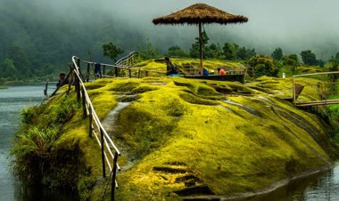 Shillong, Meghalaya: Exploring the Enchanting Gem of the East