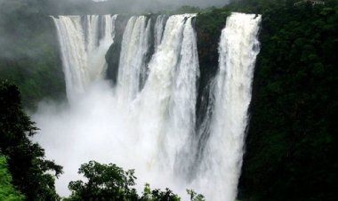 Witnessing the Splendor of Jog Falls from a Picturesque Vantage Point