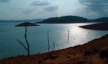 Honnemardu Adventure Camp: Thrilling Escapades amidst Nature's Beauty