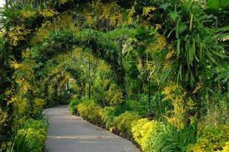 National Orchid Garden, Singapore - Wanderela