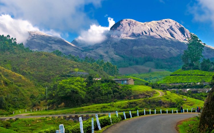 10 Captivating Places to Explore in Munnar, Kerala