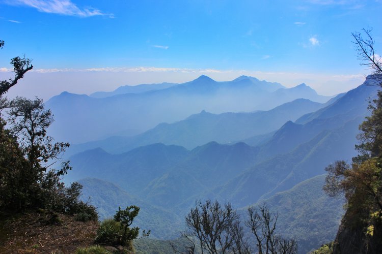 Kodaikanal, Tamil Nadu: Unveiling the Serene Beauty of the Misty Hills