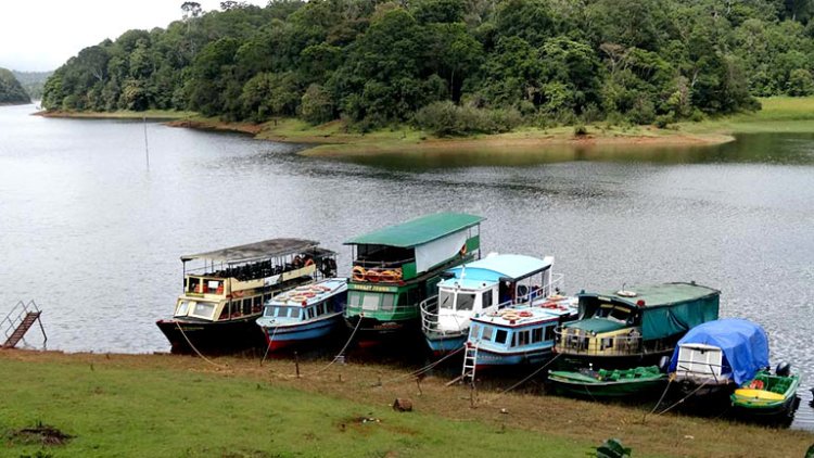 Thekkady, Kerala: A Wildlife Haven in the Lap of Nature