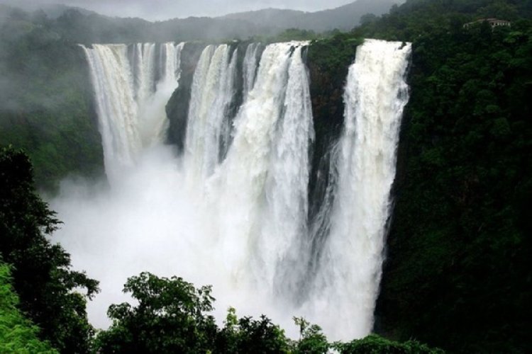Witnessing the Splendor of Jog Falls from a Picturesque Vantage Point