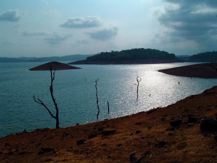 Honnemaradu: Exploring the Pristine Waters and Natural Wonders