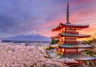 Discover Japan: A Fascinating Fusion of Tradition and Modernity