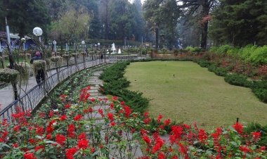 Company Garden: A Blossoming Paradise in Mussoorie