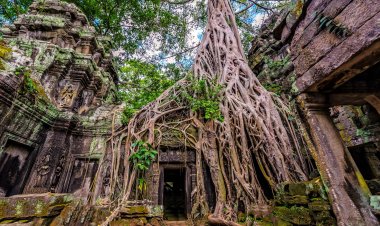 Cambodia: Monsoon Magic Amidst Ancient Temples and Vibrant Culture
