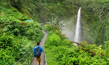 Monsoon Magic in Mauritius: A Tropical Paradise Awakens
