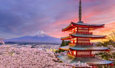 Discover Japan: A Fascinating Fusion of Tradition and Modernity