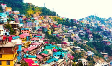 Budget-Friendly Stays in Shimla: Comfortable Retreats Without Breaking the Bank