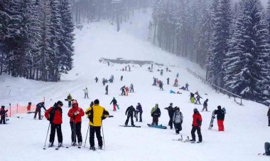 Exploring Shimla: A Guide to Exciting Activities and Adventures