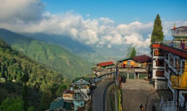 Affordable Comfort: Budget-Friendly Hotels in Darjeeling for Every Traveler's Delight