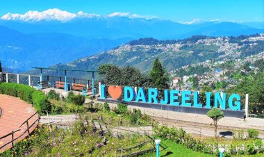 Shopping in Darjeeling: Treasures and Keepsakes to Take Home