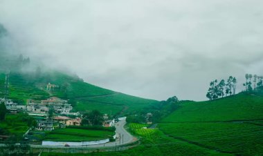 Exploring the Beauty of Ooty, Tamil Nadu
