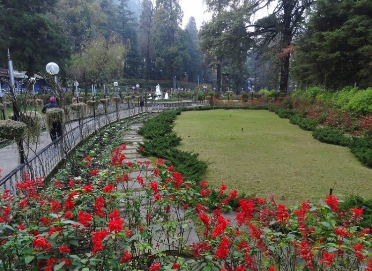 Company Garden: A Blossoming Paradise in Mussoorie