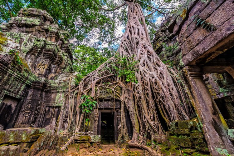 Cambodia: Monsoon Magic Amidst Ancient Temples and Vibrant Culture