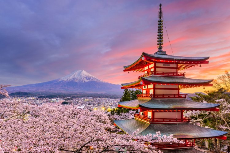 Discover Japan: A Fascinating Fusion of Tradition and Modernity