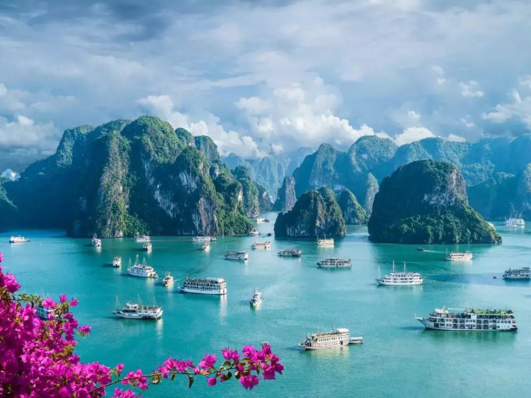 Vietnam: A Journey of Heritage, Nature, and Timeless Beauty