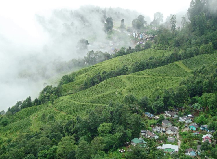 Exploring the Enchanting Beauty of Darjeeling: A Journey to the "Queen of the Hills"