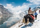 Adventure and Relaxation: Activities to Do in Gangtok