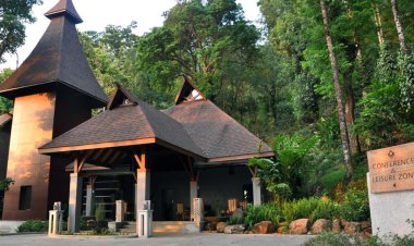 Affordable Comfort: Budget-Friendly Hotels in Coorg, Karnataka