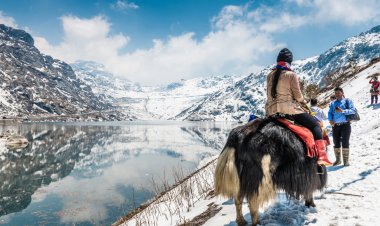 Adventure and Relaxation: Activities to Do in Gangtok